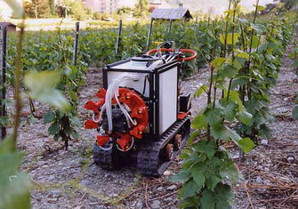 Champagne - été 2009 summer - stormy weather - sulfatage à pieds avec chenillard Solo